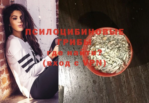 соль ск Богородск