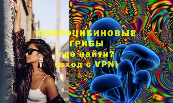 МДПВ Снежногорск