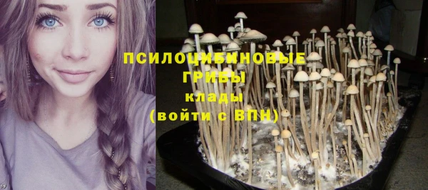 мяу мяу кристалл Богданович