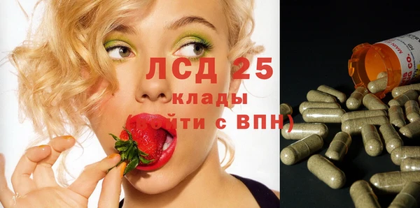 мяу мяу кристалл Богданович