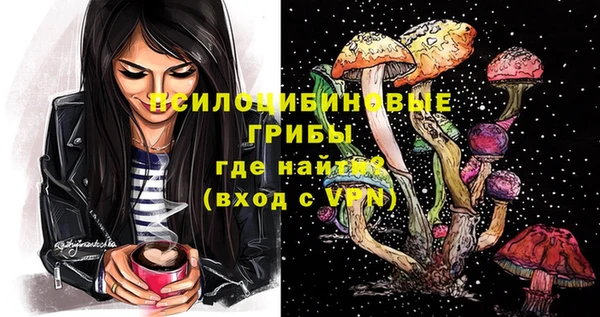 шишки Бердск